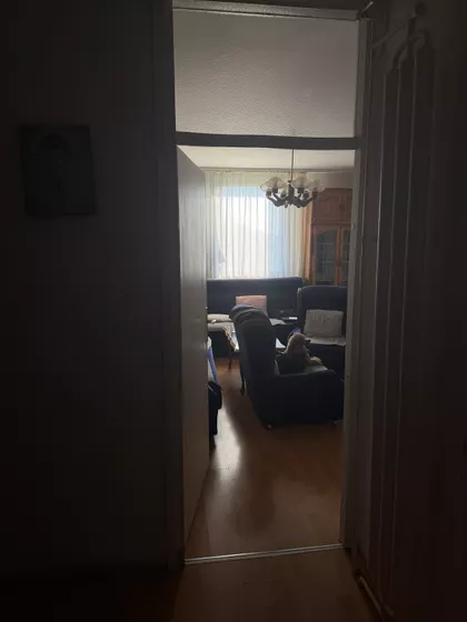 Ruža Šulman | 4zida.rs