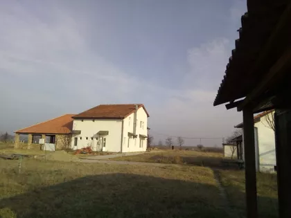 Tiganjica | 4zida.rs
