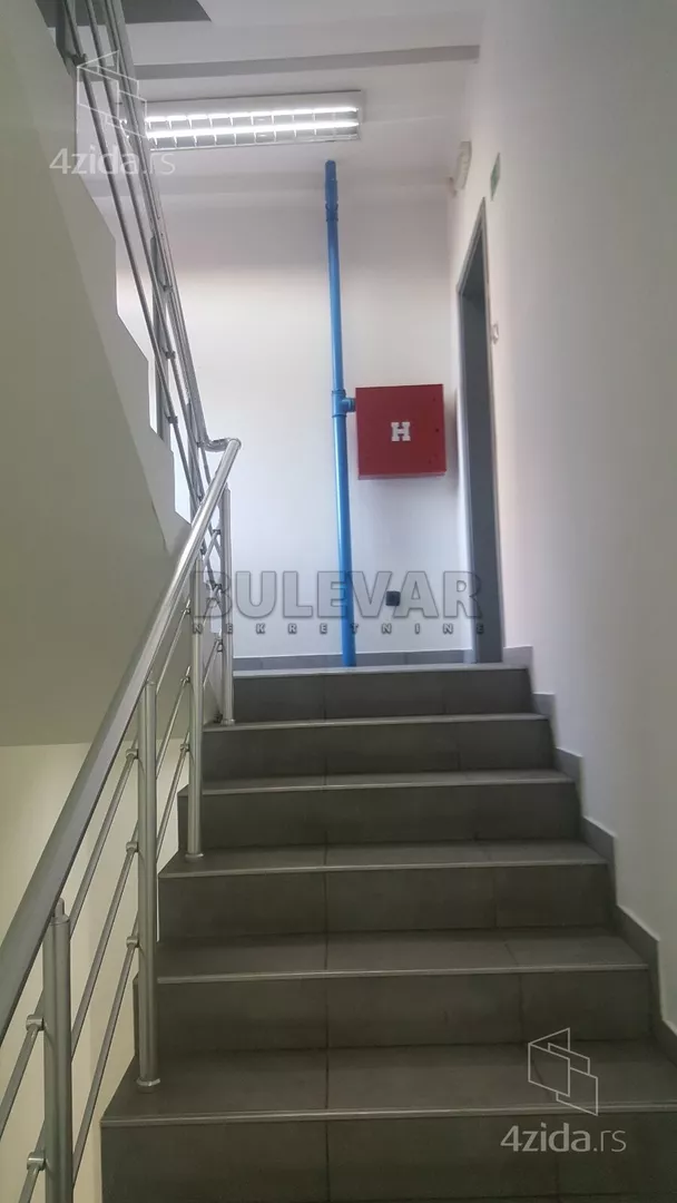 Lokal | 4zida