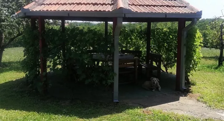 Poljoprivredno zemljište | 4zida