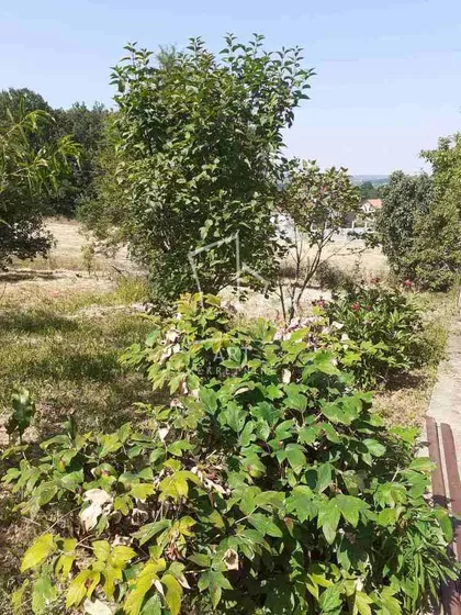Put za pećinu | 4zida.rs