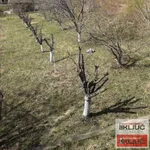 Plac | 4zida