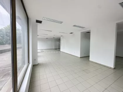 Teodora Drajzera | 4zida.rs