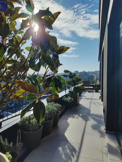 Dorćol | 4zida.rs