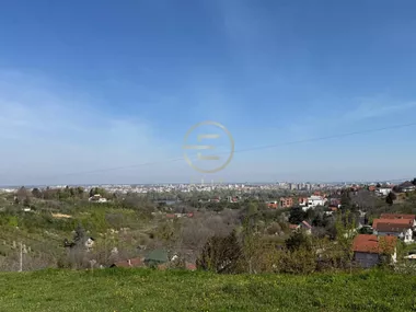 Popovica