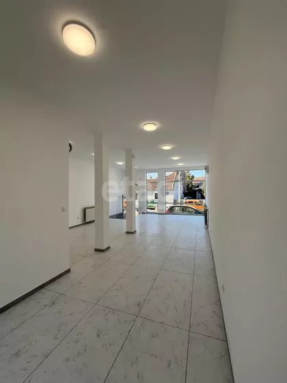 Vuka Karadžića | 4zida.rs