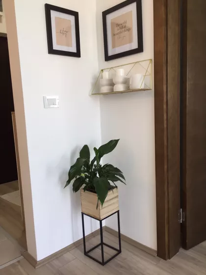 Vuka Bojovića 1A | 4zida.rs