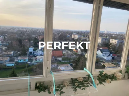 Dušana Petrovića Šaneta | 4zida.rs