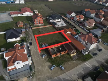 Petra Drapšina | 4zida.rs