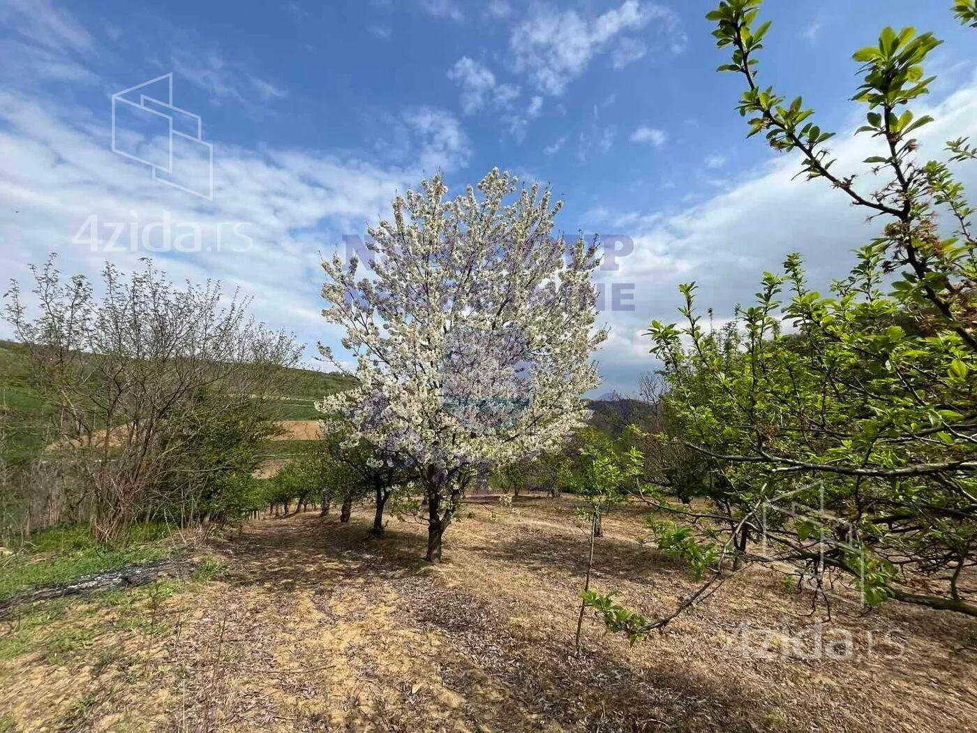 Poljoprivredno zemljište | 4zida