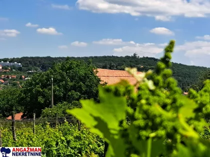 Radoja Domanovića | 4zida.rs