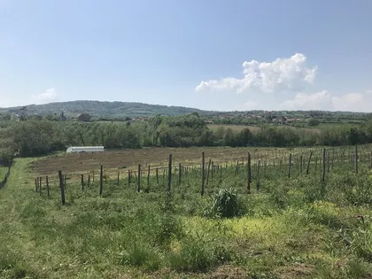 Dragobraća | 4zida.rs