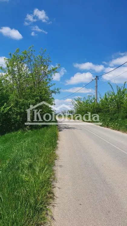 Milorada Markovića Miće | 4zida.rs