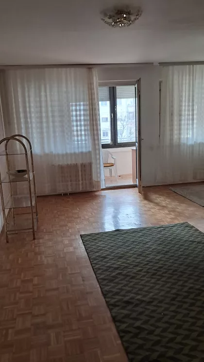 Dr Ivana Ribara | 4zida.rs