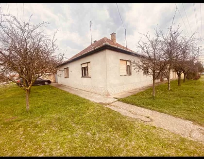 Bajmok | 4zida.rs