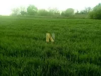 Čortanovci, Okolne lokacije, Inđija | 4zida.rs