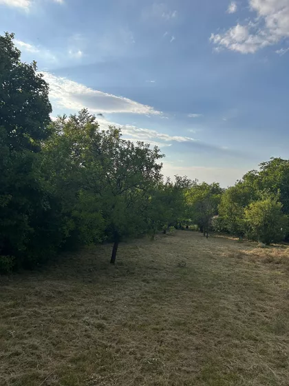 Krčedin | 4zida.rs