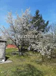 Plac | 4zida