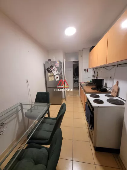 Dr Ivana Ribara | 4zida.rs