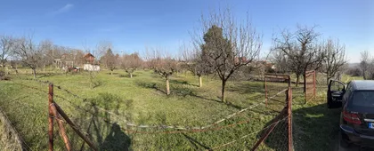 Petrovaradin | 4zida.rs