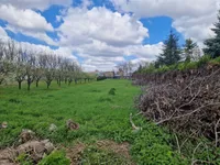 Stara Pazova, Okolne lokacije, Stara Pazova | 4zida.rs