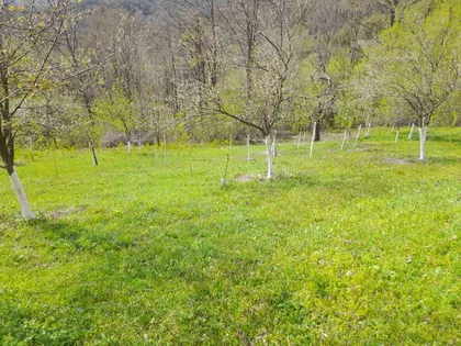 Lopatnica | 4zida.rs
