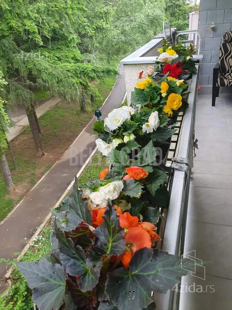 Petosoban stan | 4zida