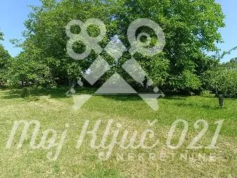 Fruška Gora
