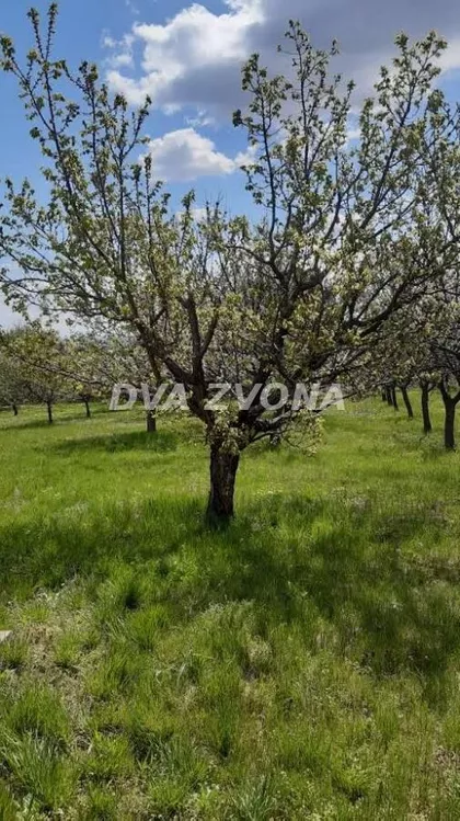 Krušedol Prnjavor | 4zida.rs