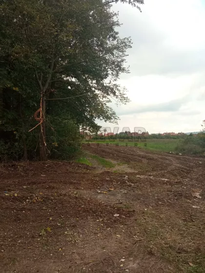 Pere Hansona | 4zida.rs