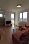 Telep, Gradske lokacije, Novi Sad | 4zida.rs | 4zida.rs
