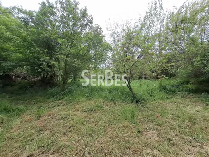 Čerević | 4zida.rs