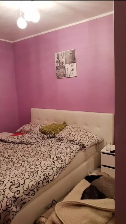 Naselje Jelice Stanivuković 6 | 4zida.rs