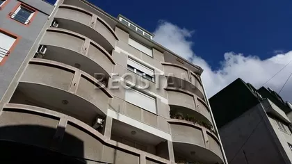 Stojana Protica | 4zida.rs