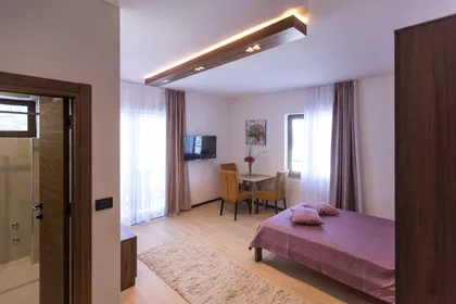 Belog Narcisa | 4zida.rs