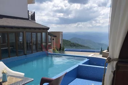 Stefana Prvovenčanog | 4zida.rs