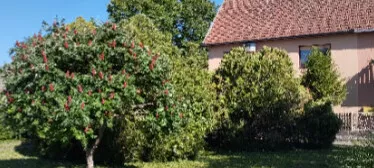 Milenka Simića 17A | 4zida.rs