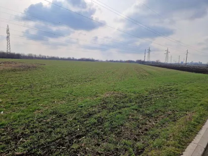 Zeleno Polje | 4zida.rs