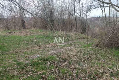 Trešnja | 4zida.rs