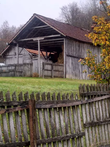 Goleševica 13 | 4zida.rs