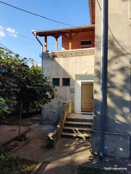 Sibinjanin Janka | 4zida.rs