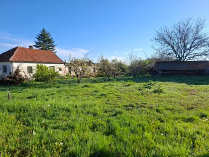 Zage Malivuk Ulica 3 | 4zida.rs