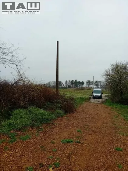 Šumarice | 4zida.rs