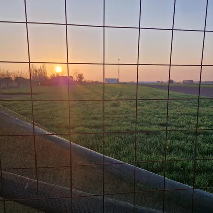 Radinački Put 217 | 4zida.rs