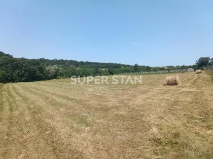 Kosmajska | 4zida.rs
