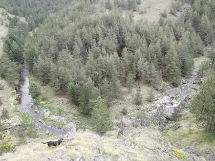 Tometino Polje Bb | 4zida.rs