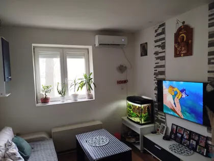Put Za Koloniju 41 | 4zida.rs
