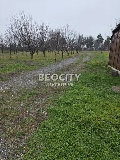 Ane Krasojević | 4zida.rs