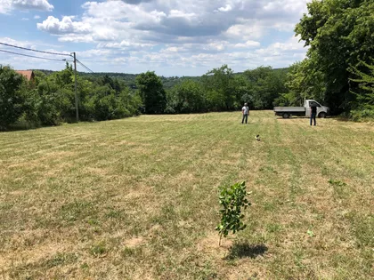 Selimira Pešića 1 | 4zida.rs