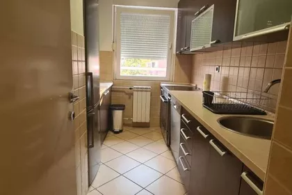 Nedeljka Gvozdenovića | 4zida.rs